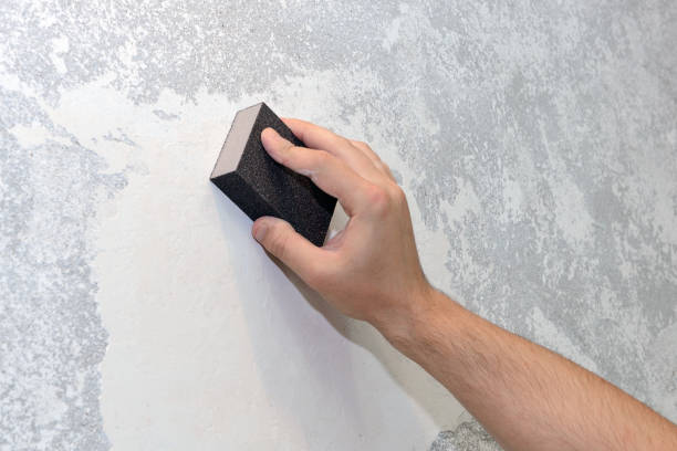 Best Commercial Mold Inspection  in Live Oak, FL