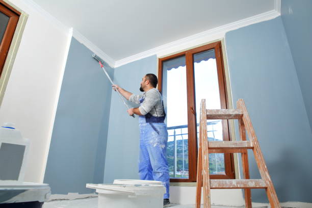 Best Mold Removal for HVAC Installations  in Live Oak, FL