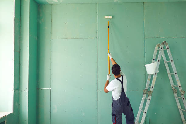 Mold Removal for HVAC Installations in Live Oak, FL