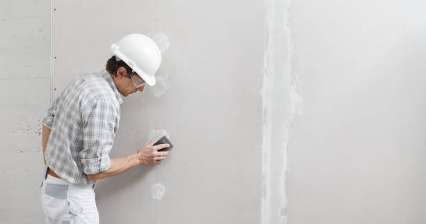 Best Post-Remediation Verification Testing  in Live Oak, FL