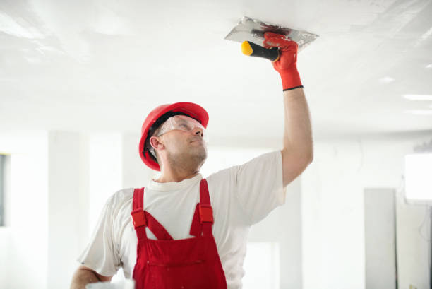 Best Mold Prevention Services  in Live Oak, FL