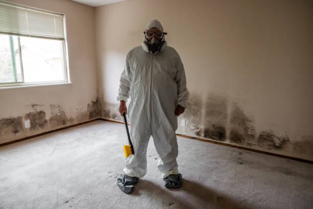 Best Industrial Mold Remediation  in Live Oak, FL