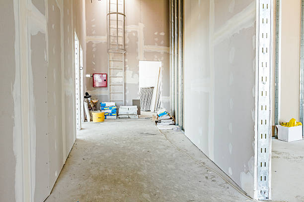 Best Real Estate Mold Inspection  in Live Oak, FL