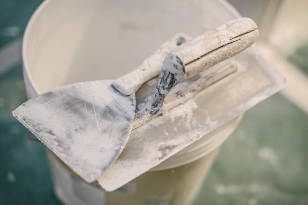 Best Mold Remediation for Healthcare Facilities  in Live Oak, FL