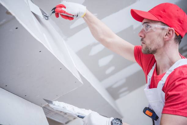 Best Post-Construction Mold Inspection  in Live Oak, FL
